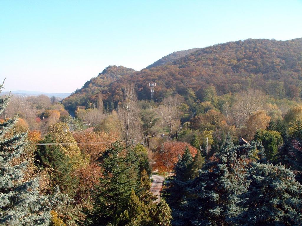 Vadregeny Panzio Bed & Breakfast Esztergom Exterior photo